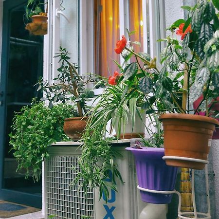 Apartment On Freedom Square Diuma Street Tbilissi Extérieur photo